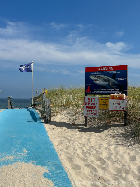250 Cape Cod - Orleans - Shark Sign and Shark Flag At Nauset Beach