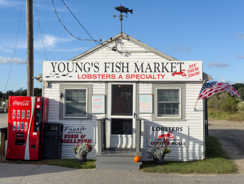 260-Cape-Cod-Orleans-Rock-Harbor-Youngs-Seafood
