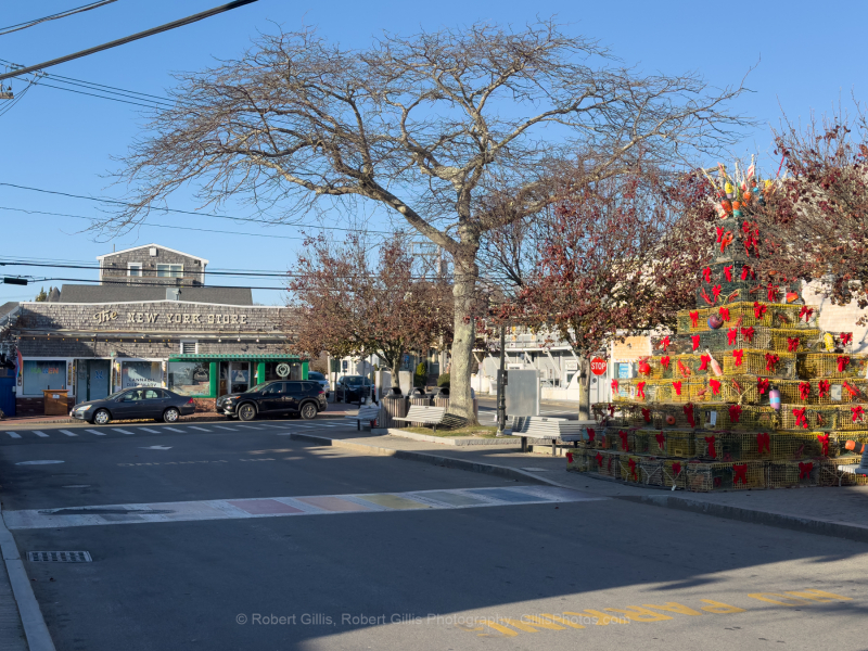 301-Cape-Cod-Holiday-Provincetown-Lobster-Pot-Tree-Day