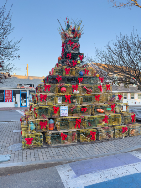 302-Cape-Cod-Holiday-Provincetown-Lobster-Pot-Tree-Day