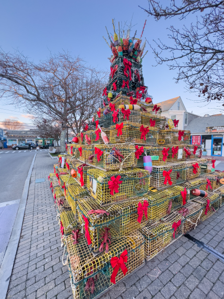 303-Cape-Cod-Holiday-Provincetown-Lobster-Pot-Tree-Day