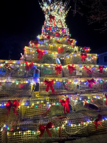 304-Cape-Cod-Holiday-Provincetown-Lobster-Pot-Tree-Lit-at-Night