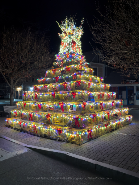 305-Cape-Cod-Holiday-Provincetown-Lobster-Pot-Tree-Lit-at-Night