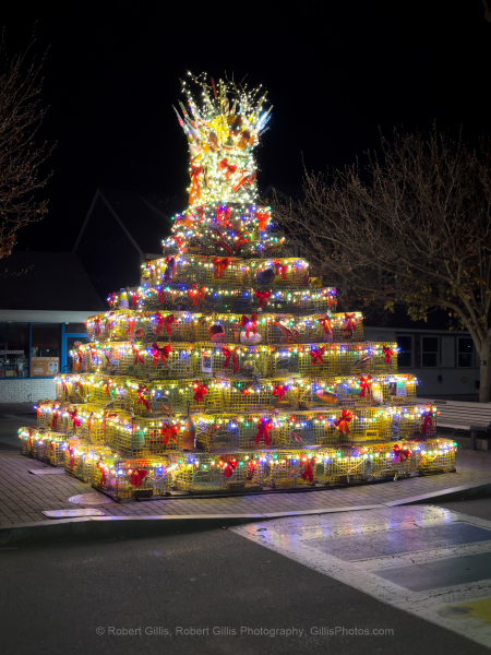 306-Cape-Cod-Holiday-Provincetown-Lobster-Pot-Tree-Lit-at-Night