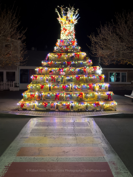 307-Cape-Cod-Holiday-Provincetown-Lobster-Pot-Tree-Lit-at-Night