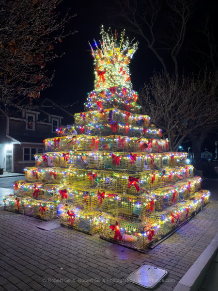 308-Cape-Cod-Holiday-Provincetown-Lobster-Pot-Tree-Lit-at-Night