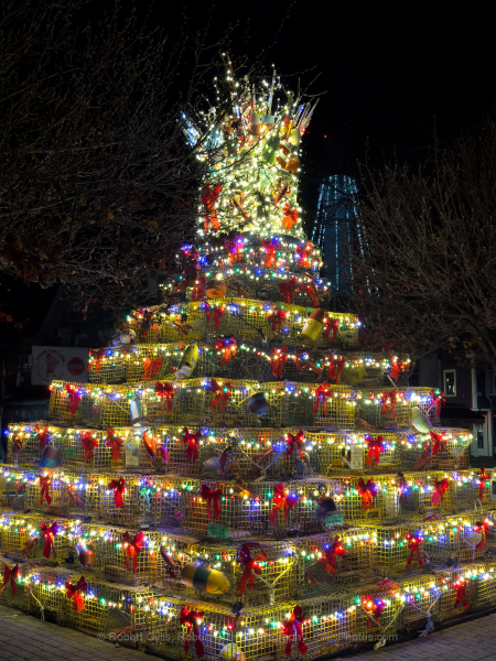 309-Cape-Cod-Holiday-Provincetown-Lobster-Pot-Tree-Lit-at-Night