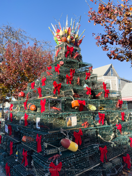 314-Cape-Cod-Holiday-Provincetown-Lobster-Pot-Tree-Day