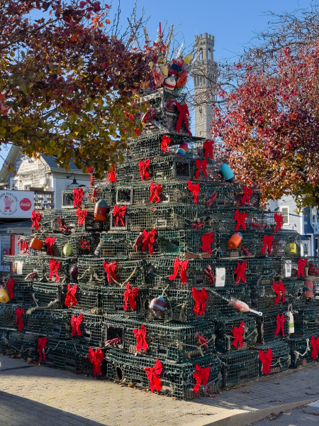 315-Cape-Cod-Holiday-Provincetown-Lobster-Pot-Tree-Day