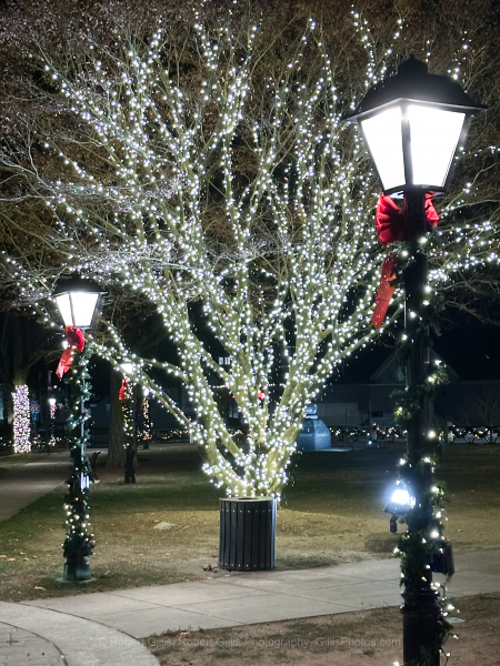 082-Foxboro-Town-Common-At-Christmas