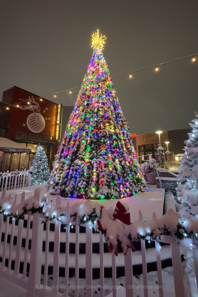 084-Foxboro-Christmas-Holiday-Tree-at-Patriot-Place-in-Snow