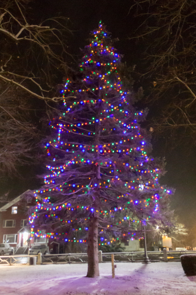 057-Foxboro-Christmas-Colorful-Lights-On-Lampposts