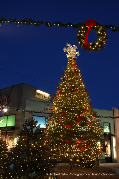 09 Foxboro Christmas - Patriot Place Christmas Tree