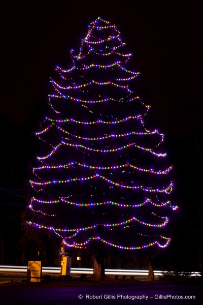 25 Foxboro Christmas - South Foxboro Community Center Christmas Tree
