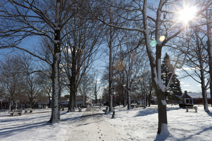 42-Foxboro-Christmas-Foxboro-Common