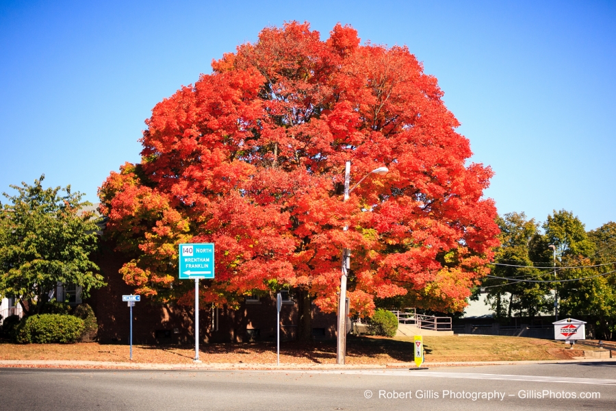 48 Foxboro - Beautiful Foliage off Foxboro Common