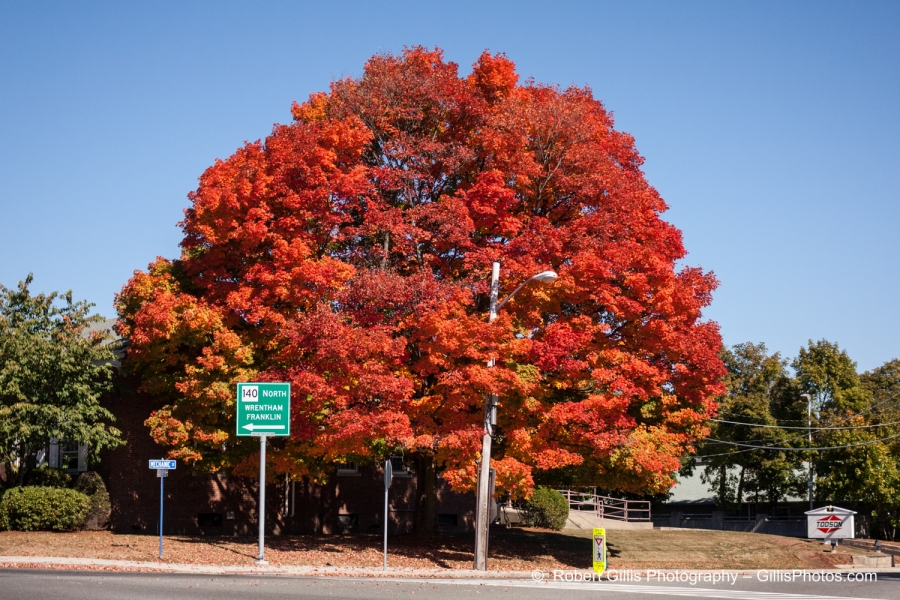 49 Foxboro - Beautiful Foliage off Foxboro Common