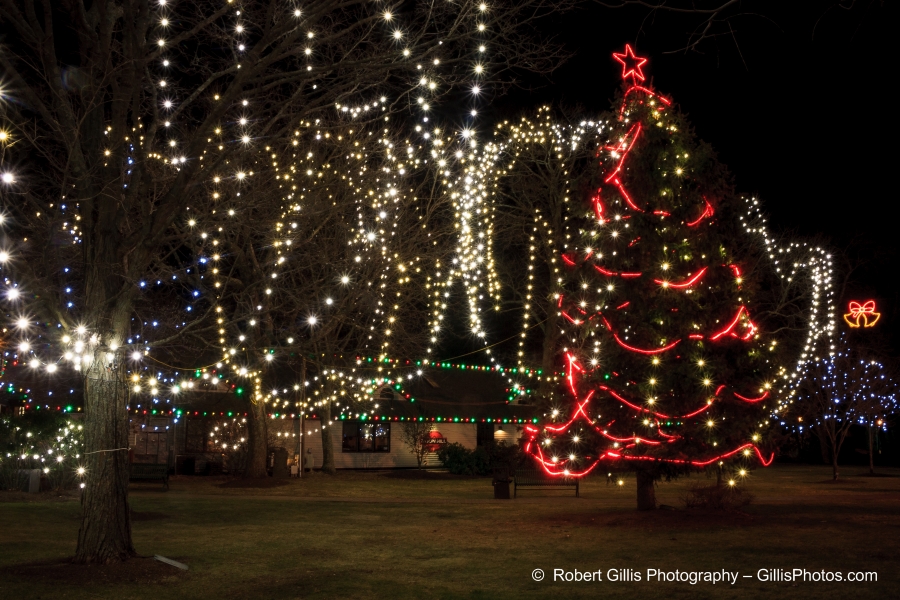 07 Medfield - Christmas Lights in Baxter Park