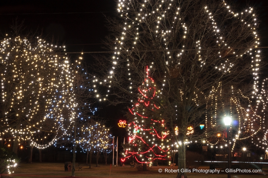 08 Medfield - Christmas Lights in Baxter Park