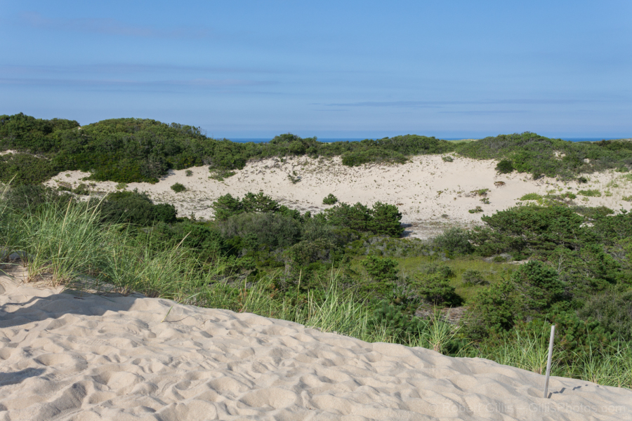 78-Provincetown-Sand-Dunes