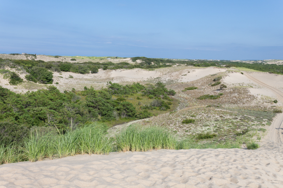 79-Provincetown-Sand-Dunes