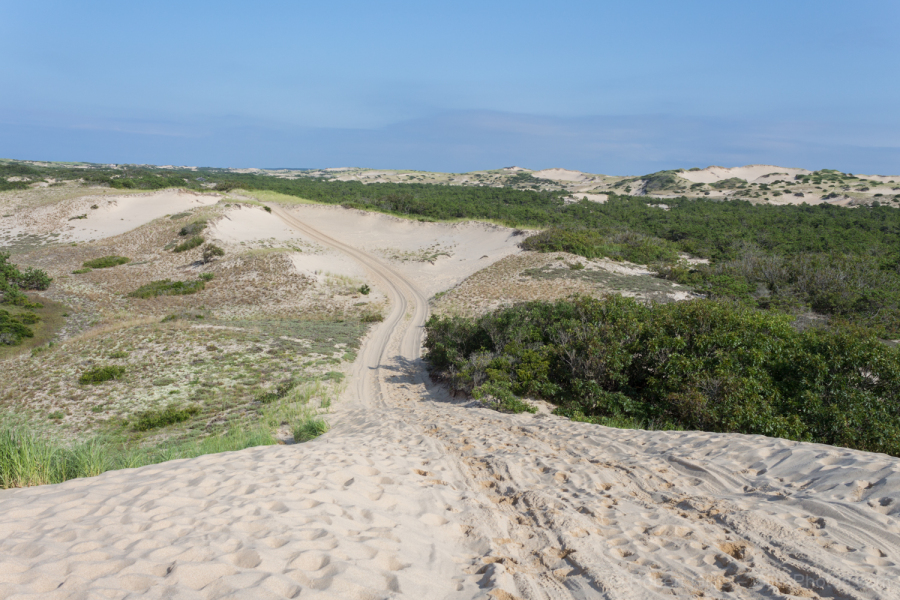 80-Provincetown-Sand-Dunes