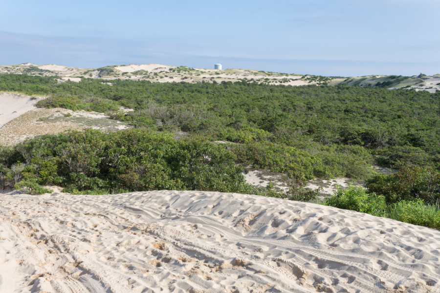 81-Provincetown-Sand-Dunes