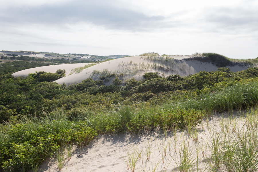 82-Provincetown-Sand-Dunes