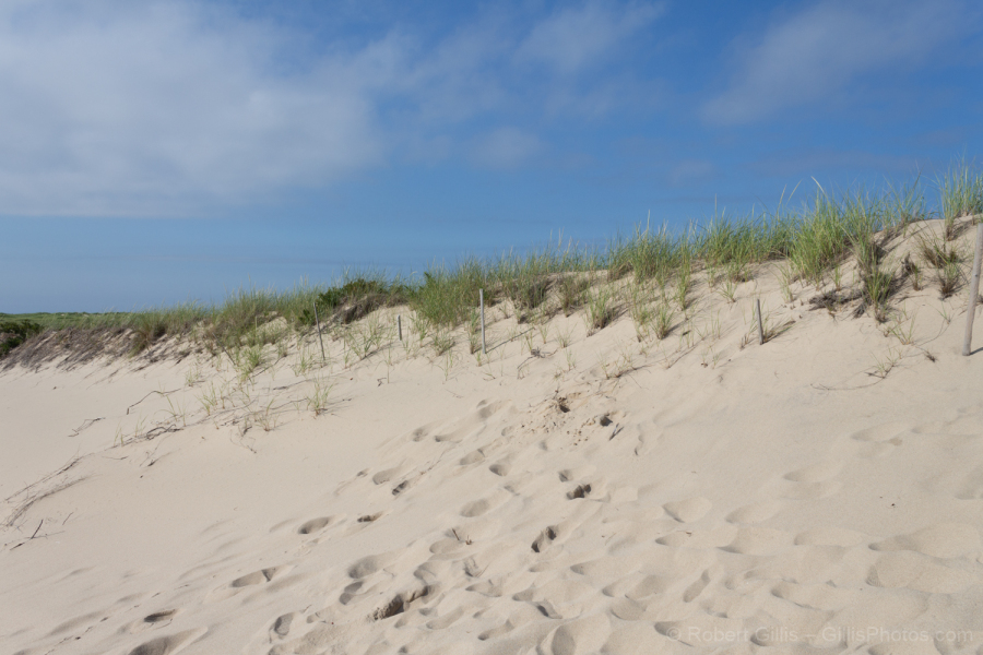 83-Provincetown-Sand-Dunes