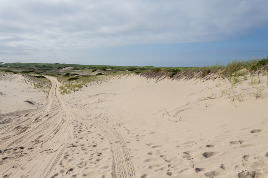 84-Provincetown-Sand-Dunes
