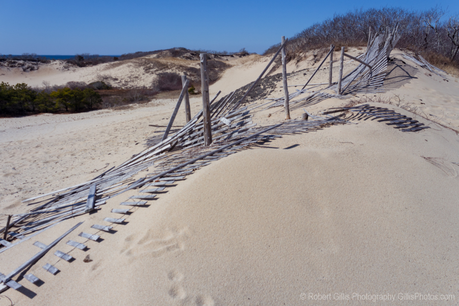 85-Provincetown-Sand-Dunes-Near-Herring-Cove