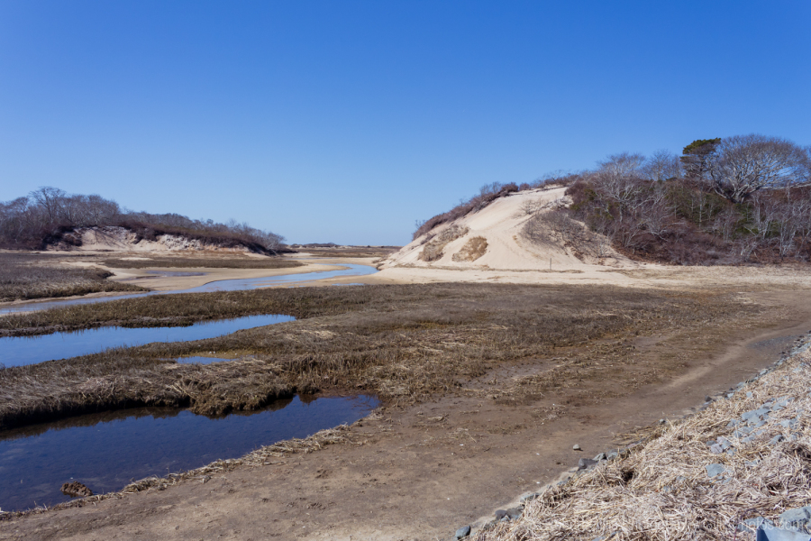 86-Provincetown-Sand-Dunes-Near-Herring-Cove.tif