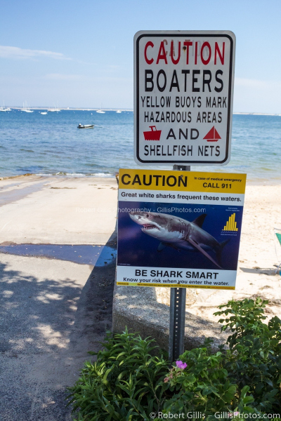 25-Provincetown-Beach-With-Shark-Warning-Sign