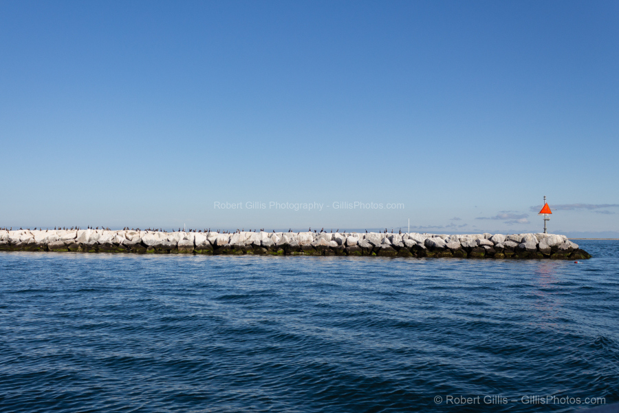 46-Provincetown---Harbor-and-Pilgrim-Monument