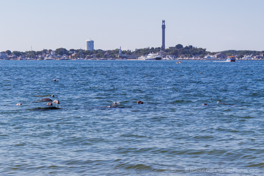 63-Provincetown---Long-Point