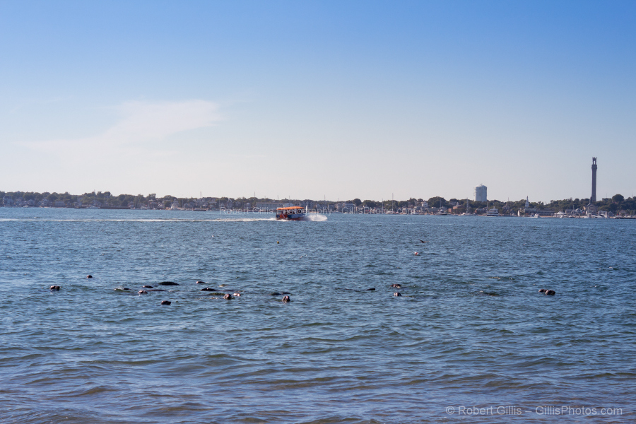 68-Provincetown---Long-Point