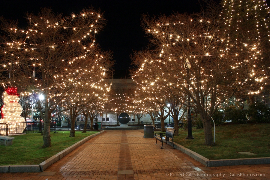 04 Quincy Christmas - Quincy Square