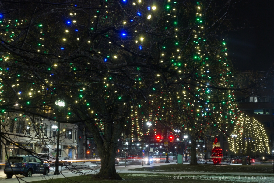 19 Quincy Christmas Lights At Quincy Center Thomas Crane Library