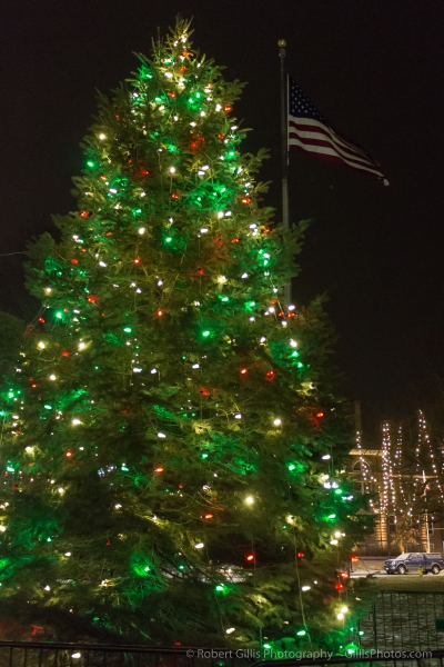 21 Quincy Christmas Tree Closeup and Lights And American Flag At Quincy Center Thomas Crane Library