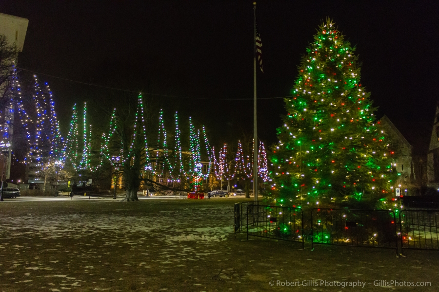 22 Quincy Christmas Tree Closeup and Lights At Quincy Center Thomas Crane Library
