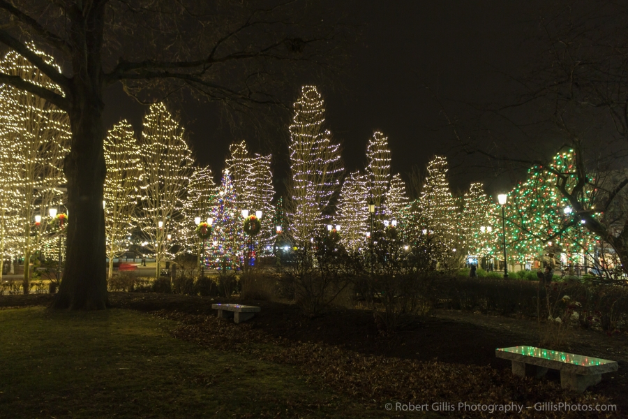 24 Quincy Christmas - Hancock - Adams Common