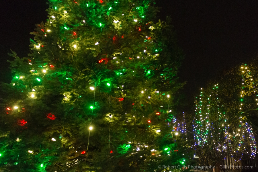 24 Quincy Christmas Tree Closeup and Lights At Quincy Center Thomas Crane Library