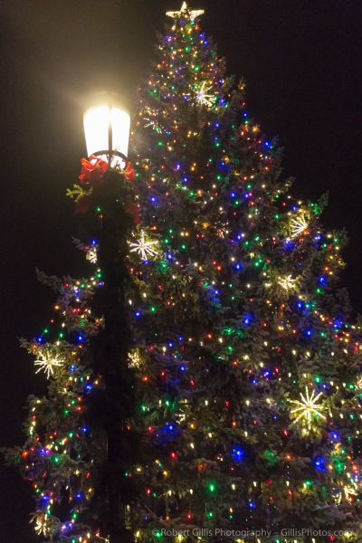 26 Quincy Christmas - Hancock - Adams Common