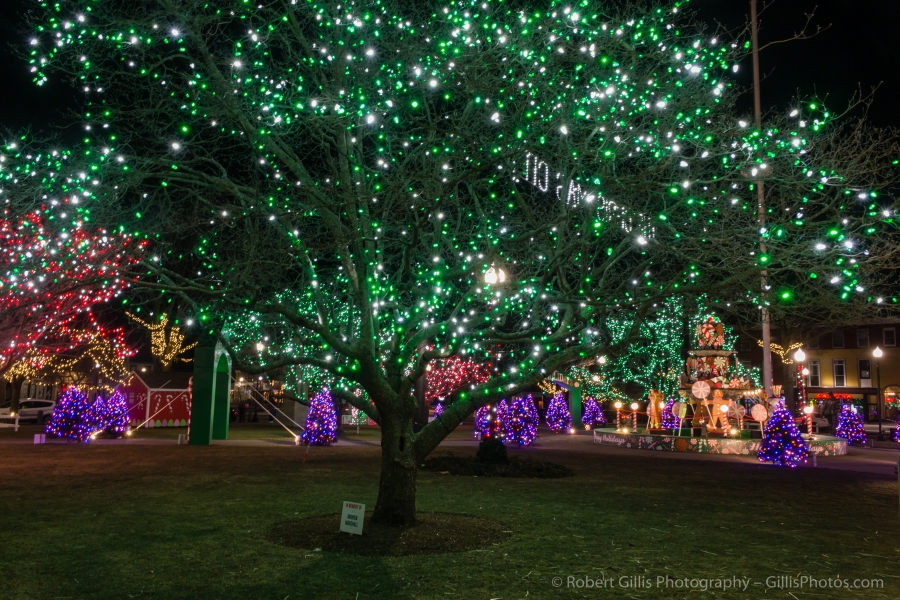06 Taunton - Christmas Display on Taunton Green