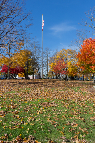 080 Foxboro - Common in Autumn - Beautiful Leaves