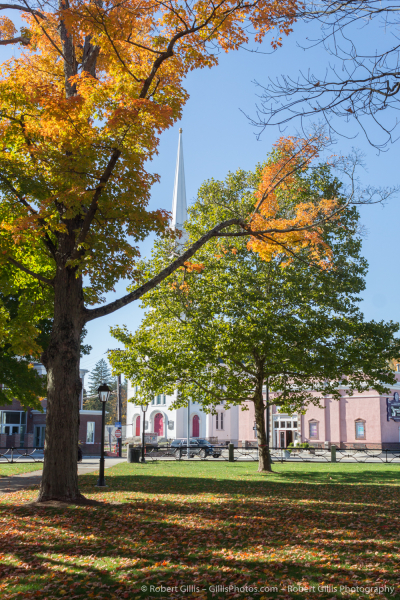 107 Foxboro - Autumn on the Common - Rodman and Bethany