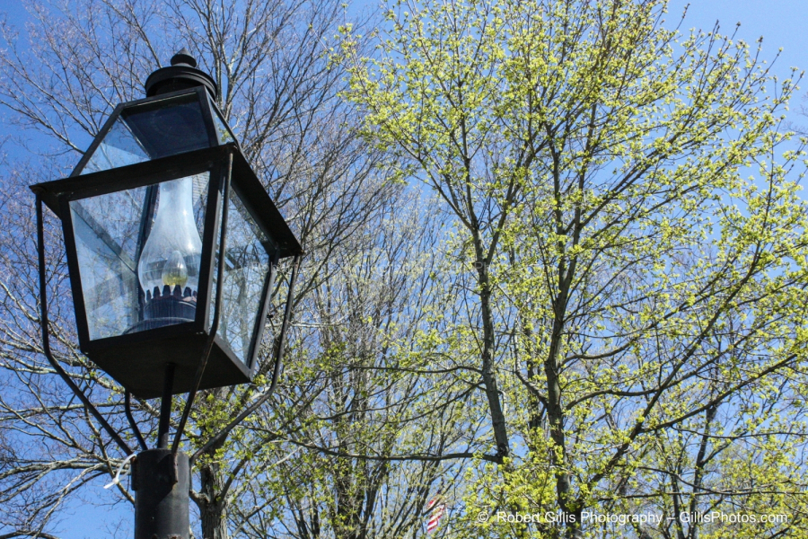 21 Foxboro - Common Lampost in Springtime