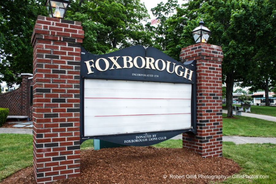 25 Foxboro - Foxboro Lions Sign - Blank