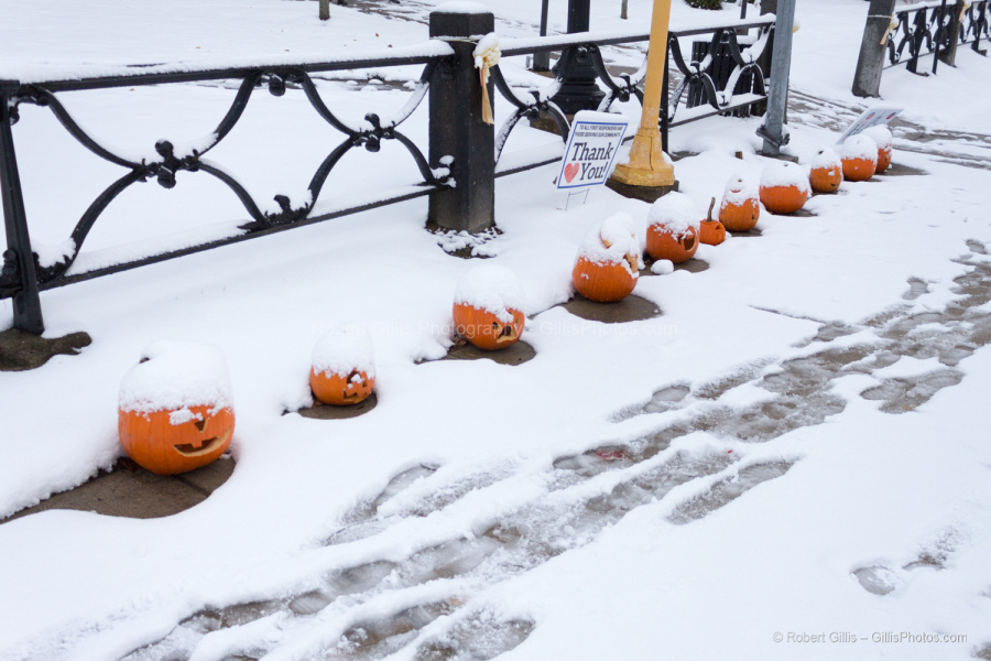 96-Foxboro-Jack-OLantern-Pumpkins-in-Snow