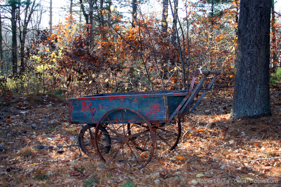 04-Other-Rustic-Wagon